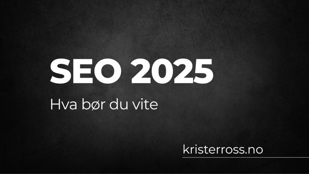 seo 2025 hva bør du vite (1)